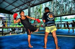 Real Travel @ Tiger Muay Thai & MMA, Phuket, Thailand