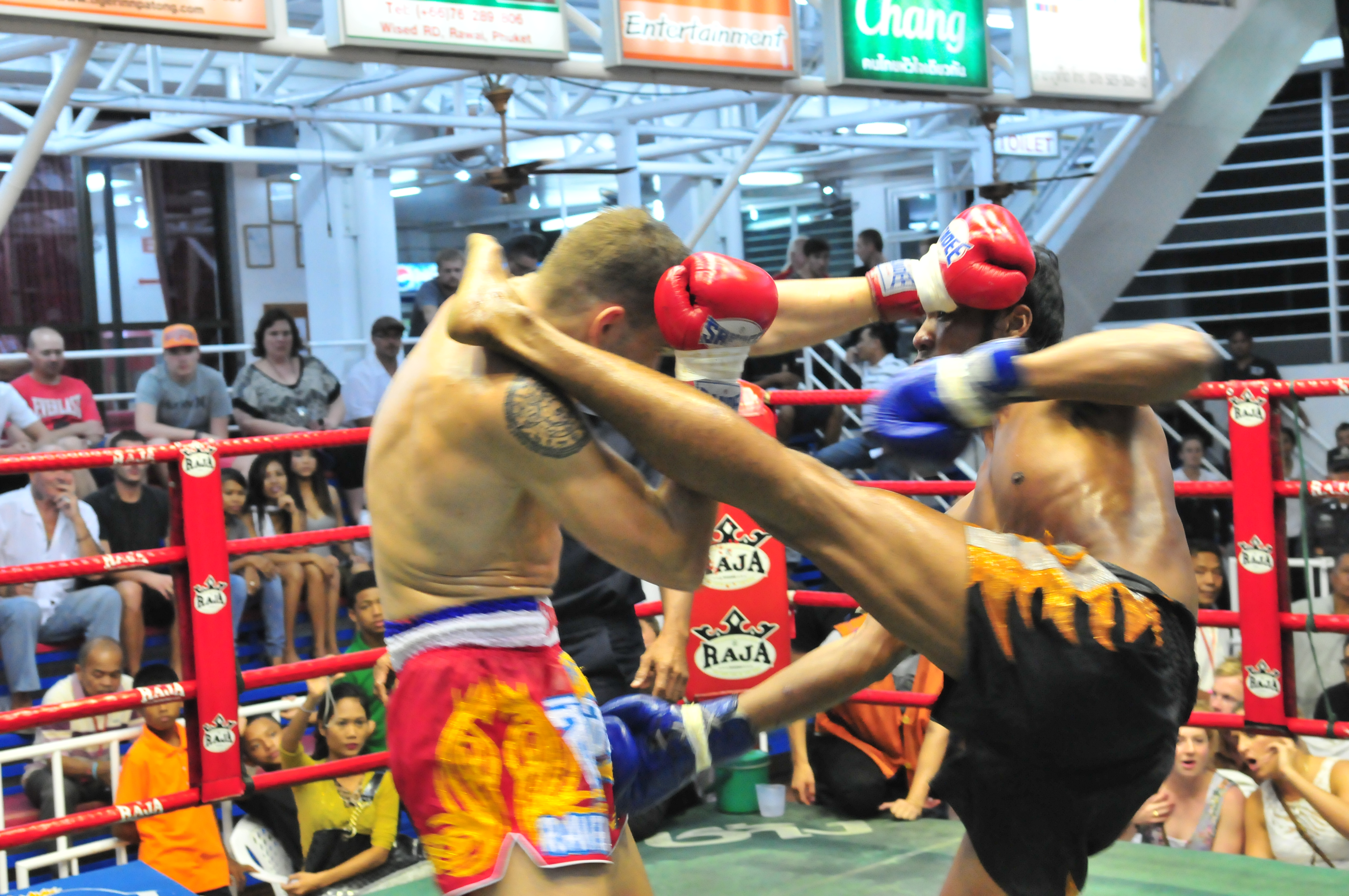 First Round Ko Victory For Tiger Muay Thai Fighter While American Wins