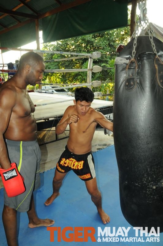 Beginners Muay Thai Program