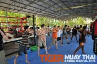 dhl executives seminar at Tiger Muay Thai, Thailand