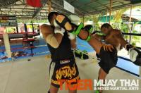 Marcello Giudici training at Tiger Muay Thai and MMA, Phuket, Thailand