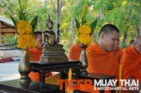 National Muay Thai Day at Tiger Muay Thai, Training Camp, Phuket, Thailand
