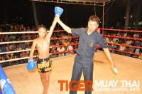 kok wins by KO for Tiger Muay Thai