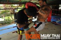 UFC star Phil Baroni at Tiger Muay Thai and MMA, Phuket, Thailand