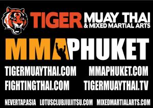 ringside banner for TMT