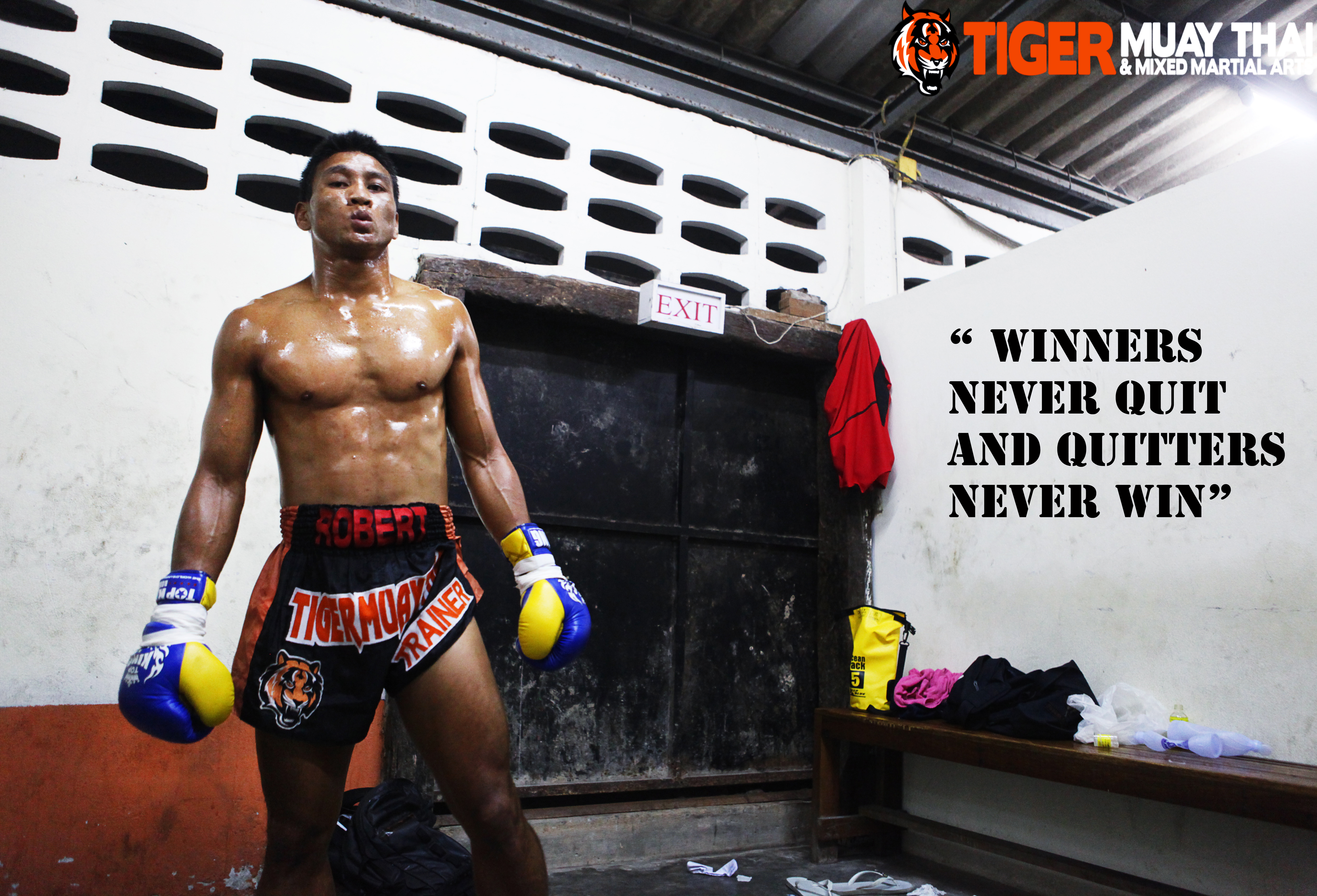 quote_12 - Tiger Muay Thai & MMA Training Camp, Phuket, Thailand