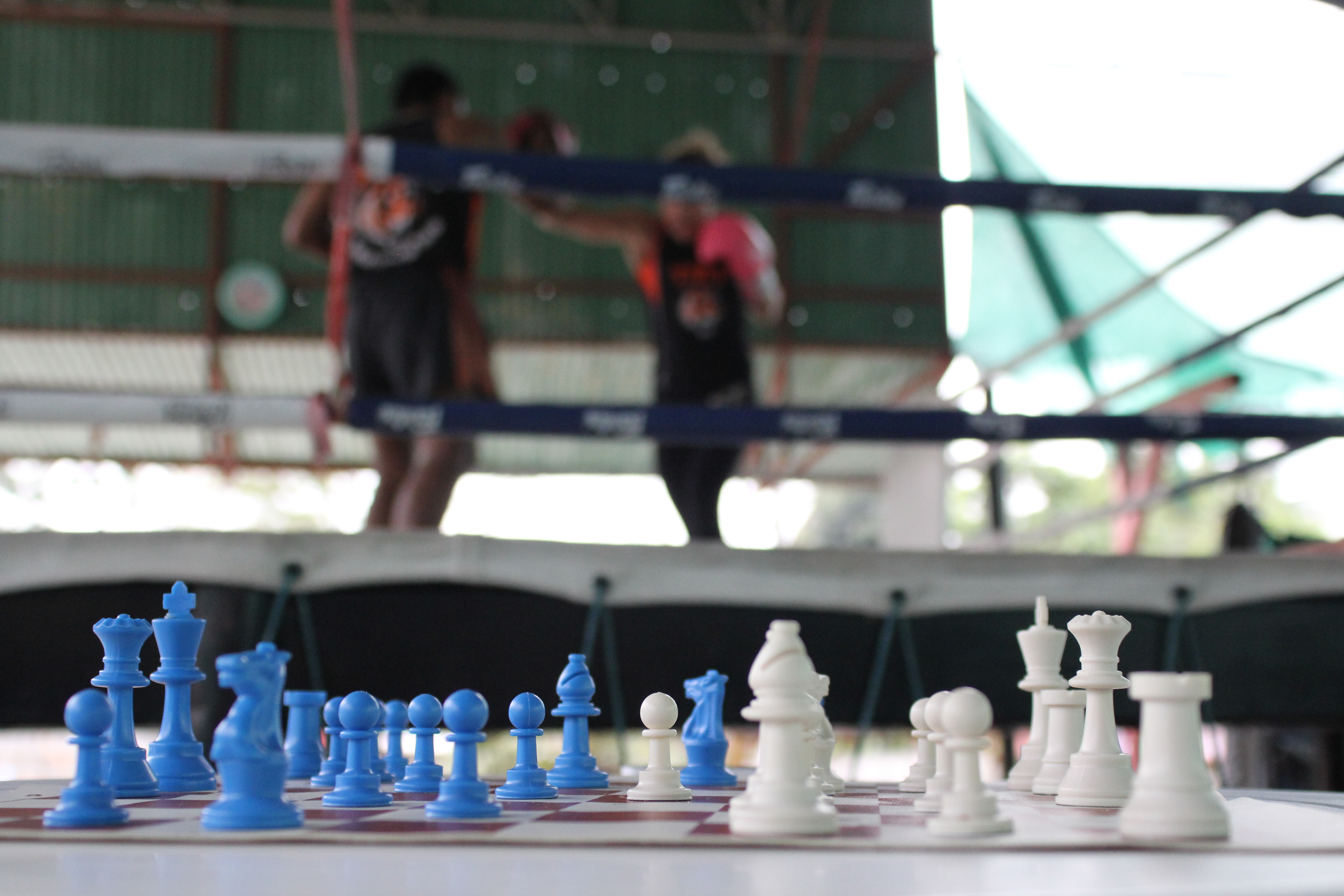 Physical Chess: The mind game of boxing - The Martha's Vineyard Times