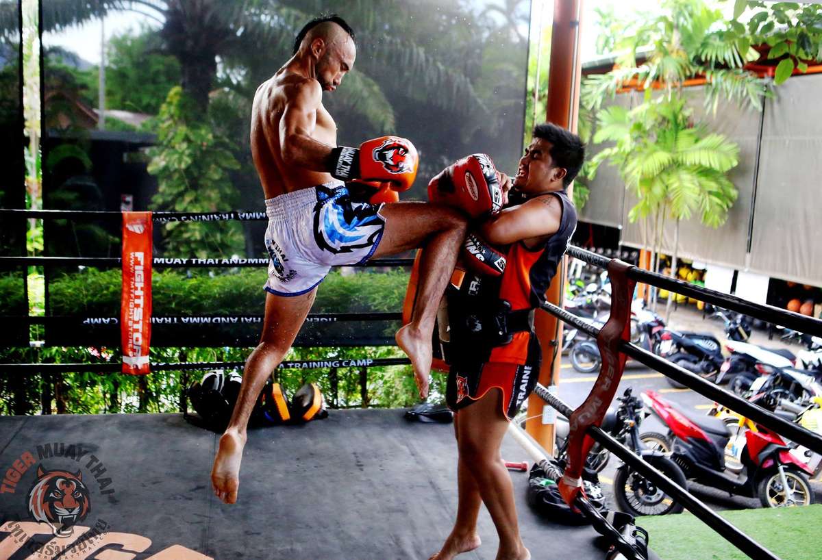 Day In The Life At Tiger Muay Thai 17th Nov 2017 Photo Gallery