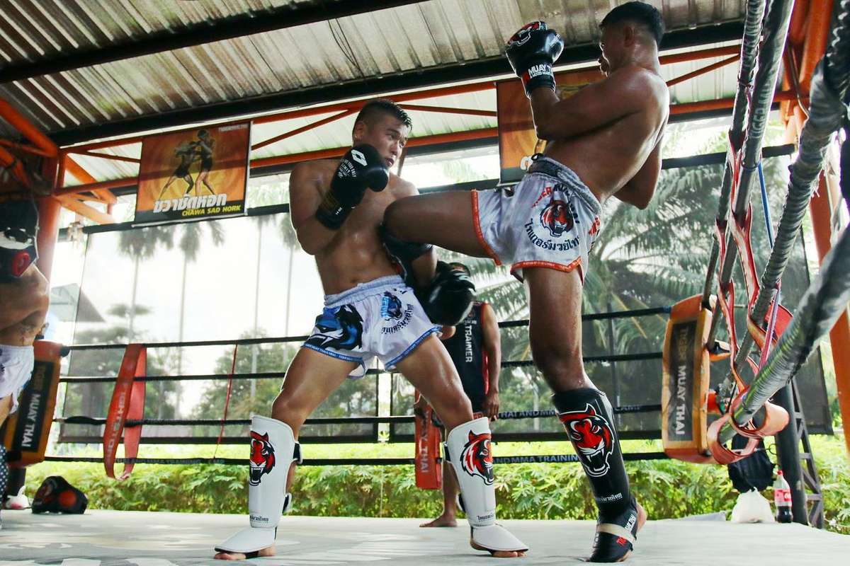 This Past Week At Tmt In Photos 24th Jan 2020 Tiger Muay Thai And Mma Training Camp Phuket
