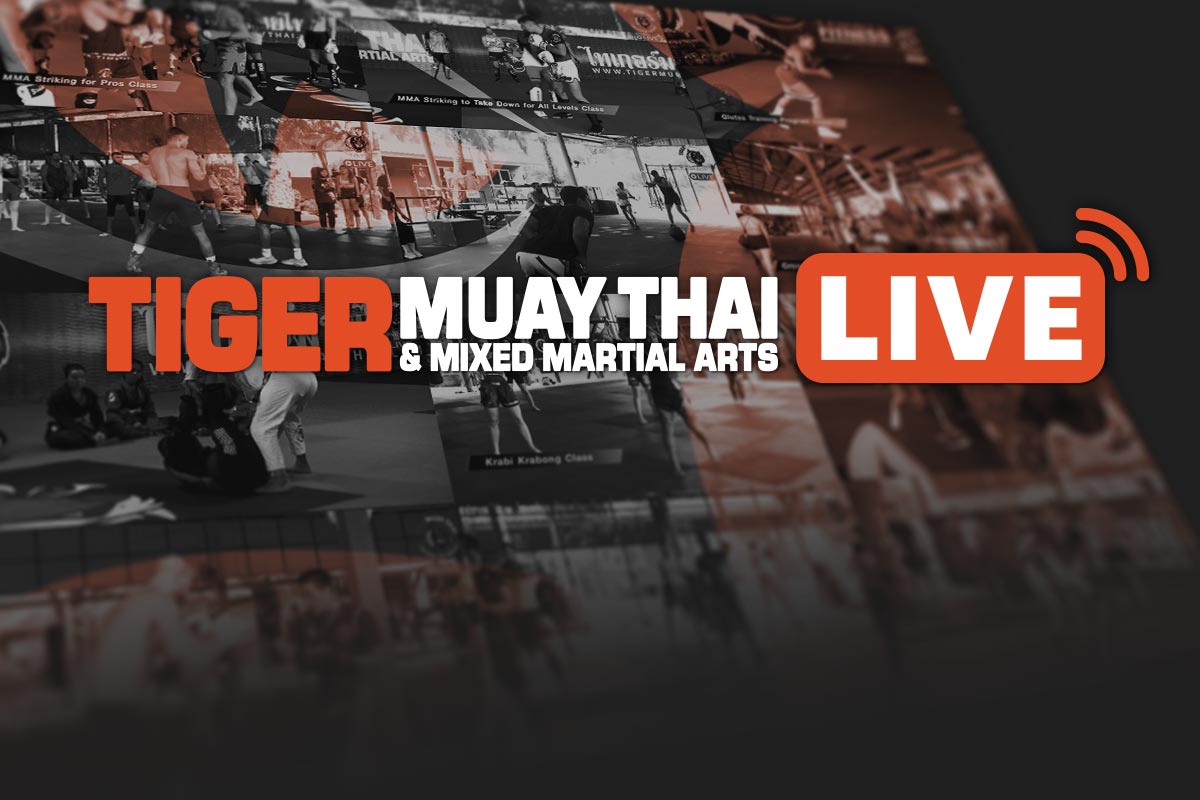 Introducing Tiger Muay Thai LIVE, HD video streaming from camp at tigermuaythai.live!