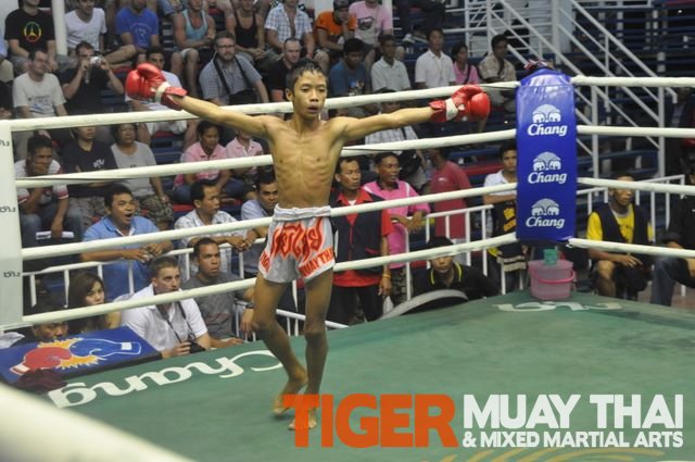 Tiger Muay Thai Fighters Go 3 1 Over Two Nights Of Thai Boxing In Patong Phuket Thailand